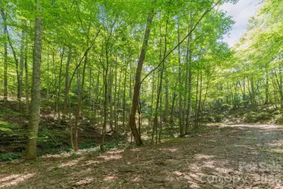 80 Breezewood Drive, Bryson City, NC 28713 - Photo 10