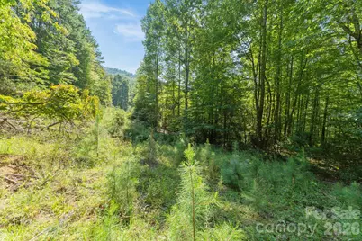 80 Breezewood Drive, Bryson City, NC 28713 - Photo 24