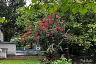 120 Harrison St, Swannanoa, NC 28778 - Photo 28