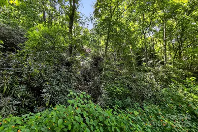 99999 Yates Avenue, Black Mountain, NC 28711 - Photo 4