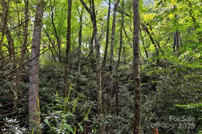 99999 Yates Avenue, Black Mountain, NC 28711 - Photo 6