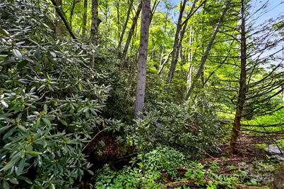 99999 Yates Avenue, Black Mountain, NC 28711 - Photo 10