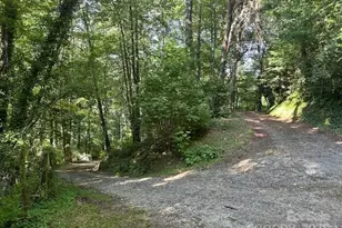 232 Heavenly Vw Dr, Sylva, NC 28779 - Photo 28