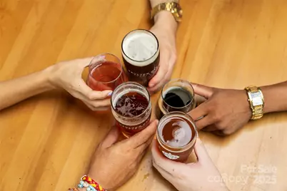 6009 Pivot Court, Charlotte, NC 28205 - Photo 16