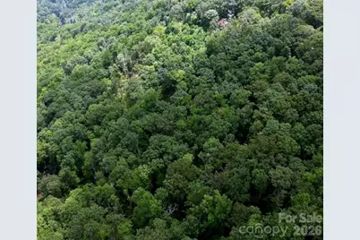 13 Old Mill Road, Hendersonville, NC 28792 - Photo 6