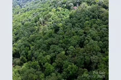 13 Old Mill Road, Hendersonville, NC 28792 - Photo 4