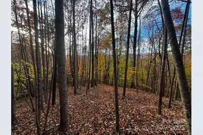 Tbd Winklers Way Road, Lenoir, NC 28645 - Photo 16