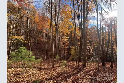 Tbd Winklers Way Road, Lenoir, NC 28645 - Photo 2