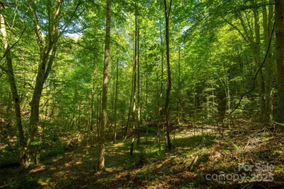 Tbd Winklers Way Road, Lenoir, NC 28645 - Photo 34