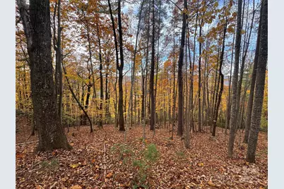 Tbd Winklers Way Road, Lenoir, NC 28645 - Photo 14