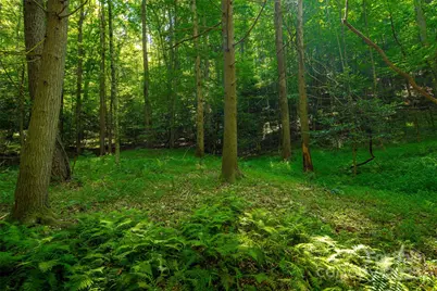 Tbd Winklers Way Road, Lenoir, NC 28645 - Photo 26