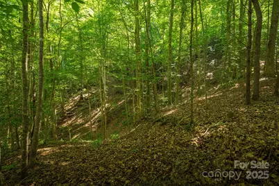 Tbd Winklers Way Road, Lenoir, NC 28645 - Photo 38