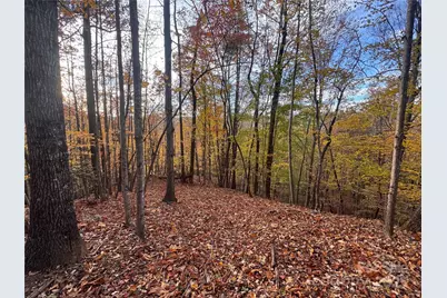 Tbd Winklers Way Road, Lenoir, NC 28645 - Photo 20