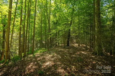 Tbd Winklers Way Road, Lenoir, NC 28645 - Photo 40