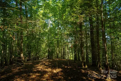 Tbd Winklers Way Road, Lenoir, NC 28645 - Photo 32