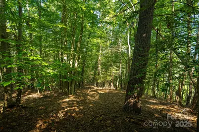 Tbd Winklers Way Road, Lenoir, NC 28645 - Photo 28