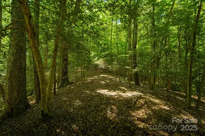 Tbd Winklers Way Road, Lenoir, NC 28645 - Photo 30