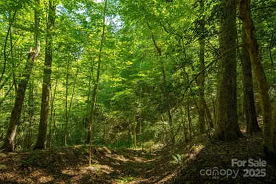 Tbd Winklers Way Road, Lenoir, NC 28645 - Photo 36