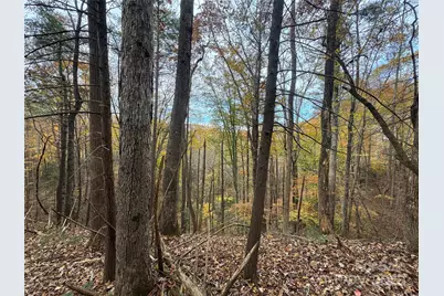 Tbd Winklers Way Road, Lenoir, NC 28645 - Photo 22