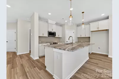 233 Alluvium Lane, Waxhaw, NC 28173 - Photo 4