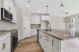 233 Alluvium Ln, Waxhaw, NC 28173 - Photo 6