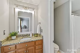 6603 Latta Springs Cir, Huntersville, NC 28078 - Photo 32