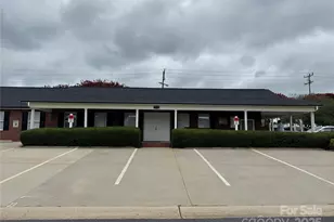 3910 Azalea Trail, Denver, NC 28037 - Photo 24