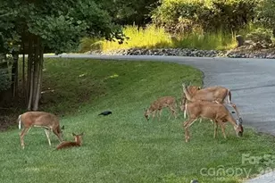 303 Constitution Dr, Morganton, NC 28655 - Photo 44