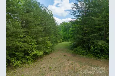 0 W Mills Street, Columbus, NC 28722 - Photo 20