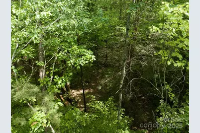 0 W Mills Street, Columbus, NC 28722 - Photo 24