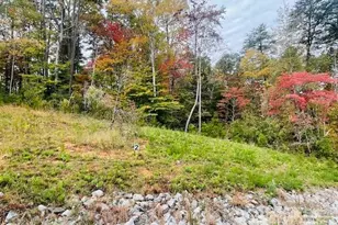 0 Enchanted Wy, Denver, NC 28037 - Photo 1