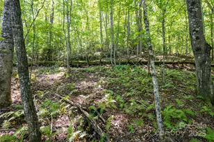 14 Rachel Fay Dr, Hendersonville, NC 28739 - Photo 32