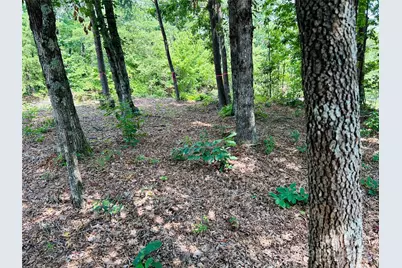 8799 Lisa Trail, Connelly Springs, NC 28612 - Photo 38