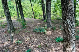 8799 Lisa Trail, Connelly Springs, NC 28612 - Photo 38