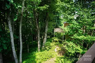 1967 McKinney Mine Rd, Spruce Pine, NC 28777 - Photo 40