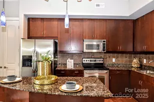 4625 E Piedmont Row Dr E, Charlotte, NC 28210 - Photo 10