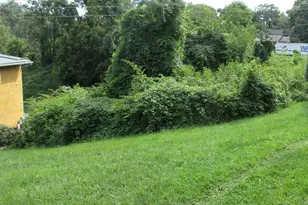 3 N Belgium Ln, Asheville, NC 28806 - Photo 1