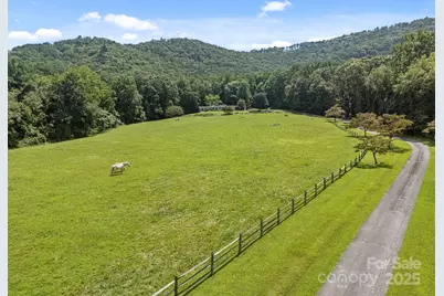 193 Duncan Creek Road, Fletcher, NC 28732 - Photo 8