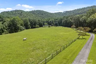 193 Duncan Creek Rd, Fletcher, NC 28732 - Photo 8