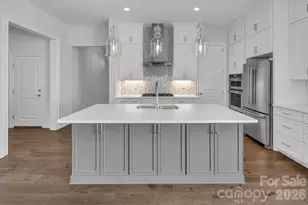 14008 Little Spring Ct, Charlotte, NC 28278 - Photo 12