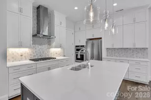 14008 Little Spring Ct, Charlotte, NC 28278 - Photo 18