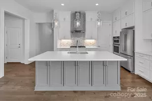 14008 Little Spring Ct, Charlotte, NC 28278 - Photo 12