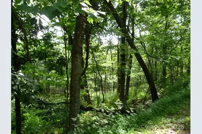 Lot 12 Sunset Ridge Drive #Lot 12, Columbus, NC 28722 - Photo 2