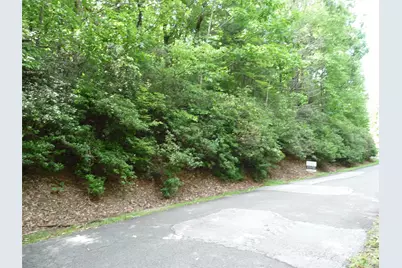 Lot 70 Serpentine Drive #Lot 70, Columbus, NC 28722 - Photo 2