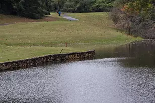 7 15th Vantage St, Campobello, SC 29322 - Photo 36