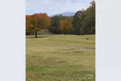 7 15th Vantage Street, Campobello, SC 29322 - Photo 40