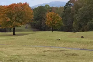 7 15th Vantage St, Campobello, SC 29322 - Photo 40