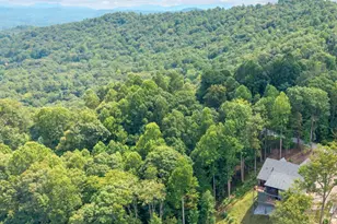 36 Northland Ct, Flat Rock, NC 28731 - Photo 42