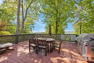 670 Barber Rd, Zirconia, NC 28790 - Photo 10