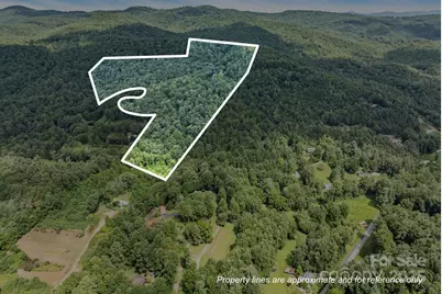 670 Barber Road, Zirconia, NC 28790 - Photo 48